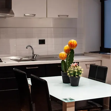 아파트 Ottomood House